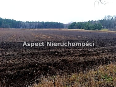 Działka budowlano-rolna Gorędy