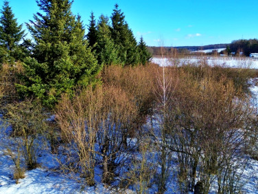 Działka budowlano-rolna Kajetanówka