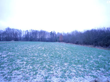 Działka budowlana Tuszów