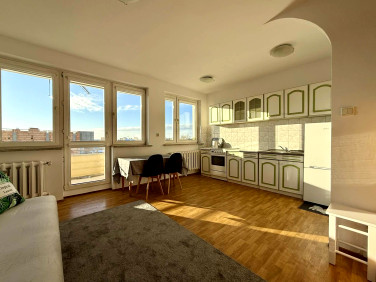 Mieszkanie Toruń wynajem