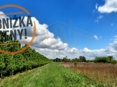 Działka rolna Dębówka