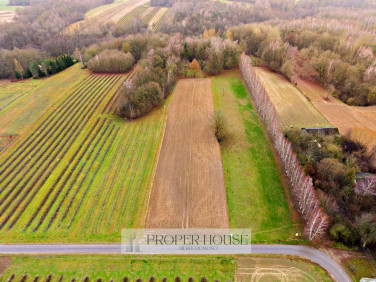 Działka budowlana Drzewce