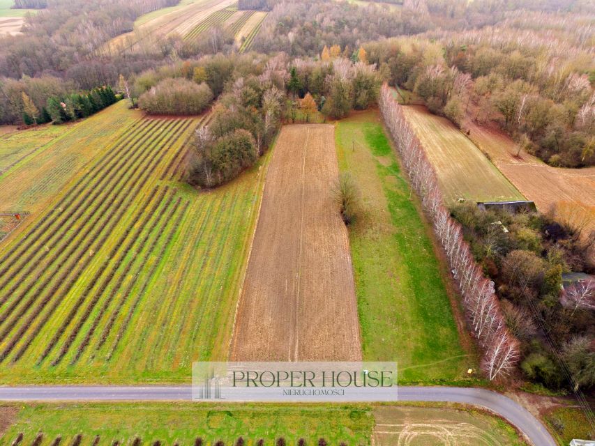 Działka budowlana Drzewce