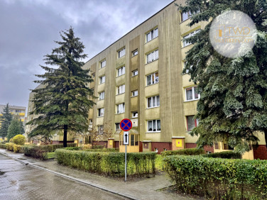 Mieszkanie Bytom sprzedaż