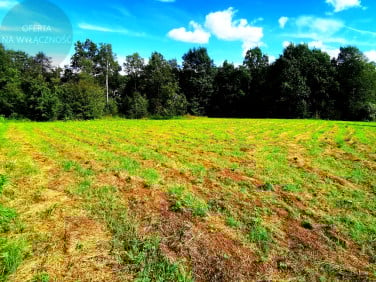 Działka przy lesie