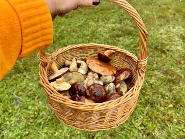 Działka budowlana Orzesze