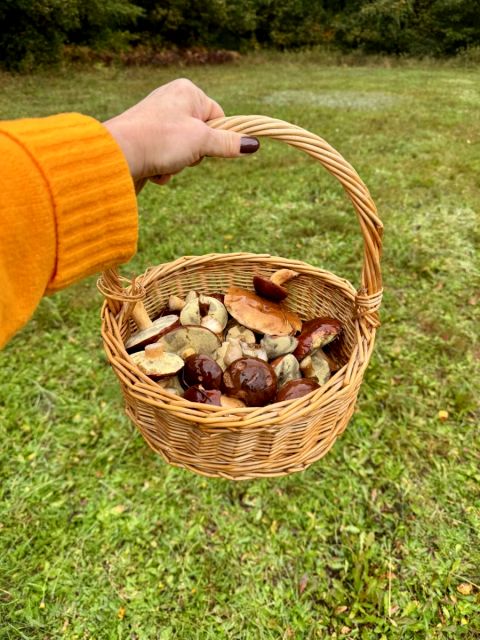 Działka budowlana Orzesze