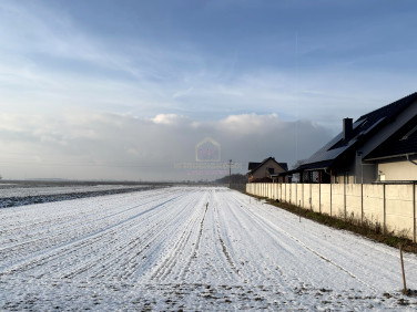 Działka rolna Czeska Wieś