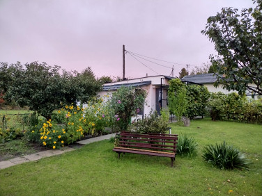 Pokój Aleksandrów Kujawski