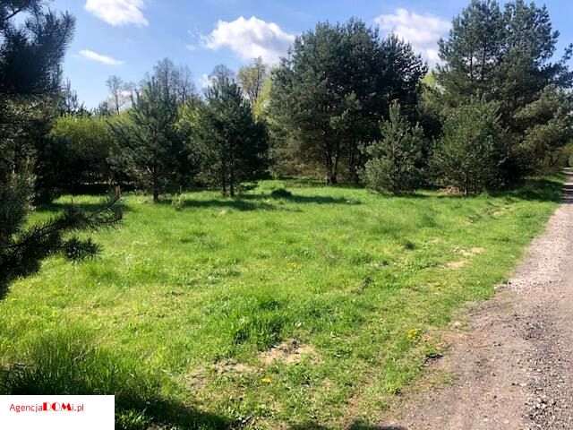 Działka przy lesie