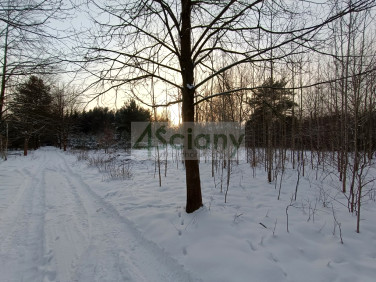 Działka budowlana SULEJÓWEK