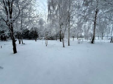 Działka siedliskowa Cholewy