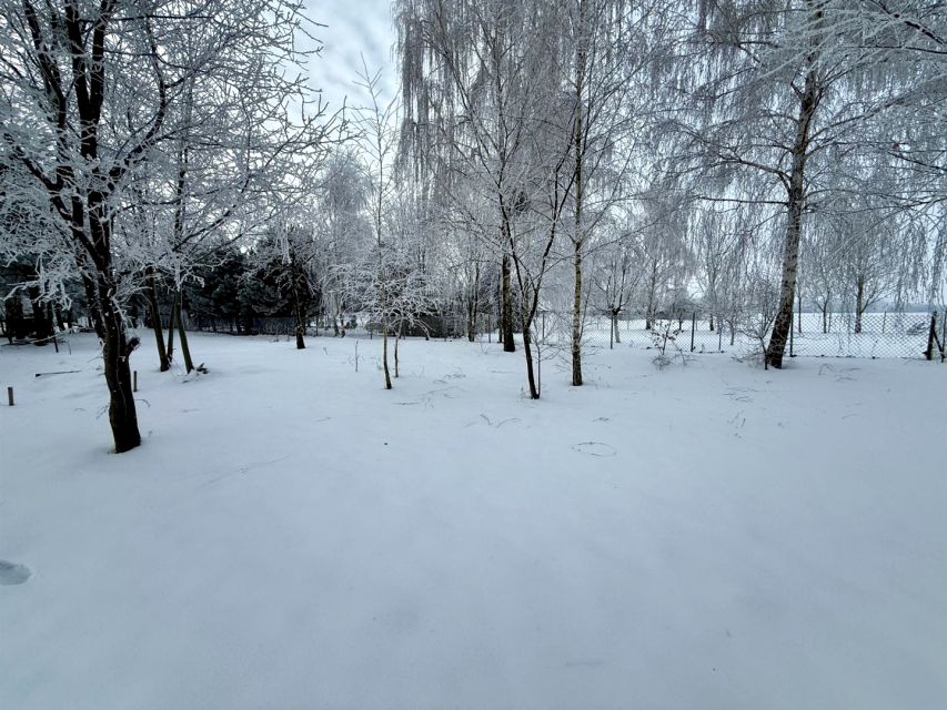 Działka siedliskowa Cholewy