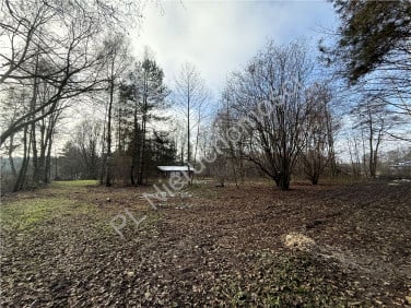 Działka Adamów-Wieś