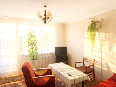 Mieszkanie Zielona Góra