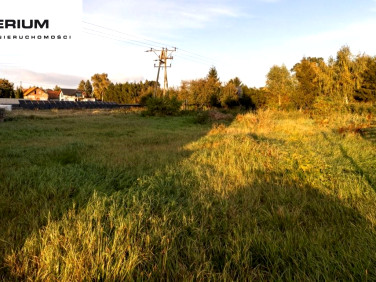 Działka usługowa Stegna