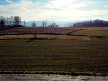 Działka budowlana Łomnica