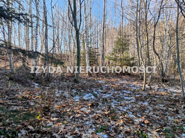 Pusta działka Zagórze Śląskie