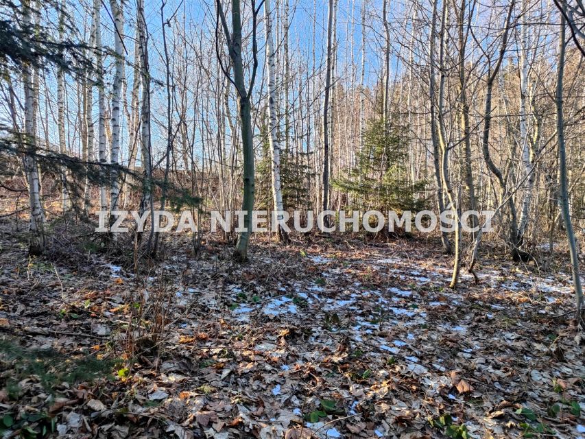 Pusta działka Zagórze Śląskie