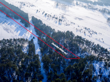 Działka rekreacyjna Anastazew