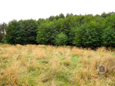 Działka budowlano-rolna Rudna