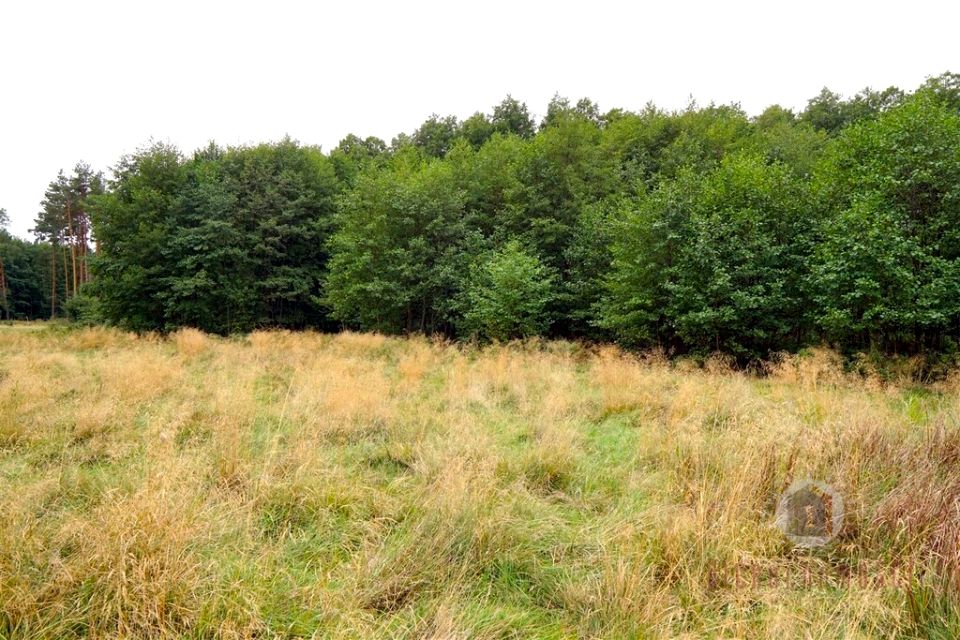 Działka budowlano-rolna Rudna