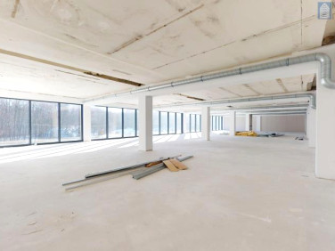 Lokal Siemianowice Śląskie