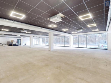 Lokal Siemianowice Śląskie