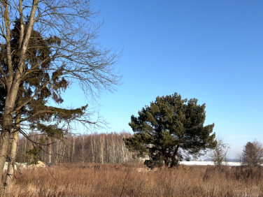 Działka budowlana Michałówek