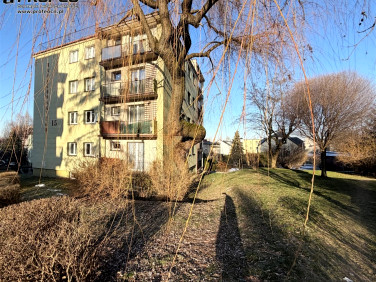 Mieszkanie Bielsko-Biała