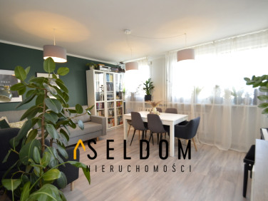 Mieszkanie Legnica