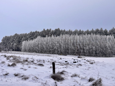Działka budowlana Grzybowo