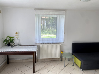 Mieszkanie przy lesie