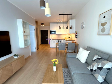 Mieszkanie apartamentowiec wynajem