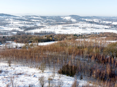 Działka leśna Grabno