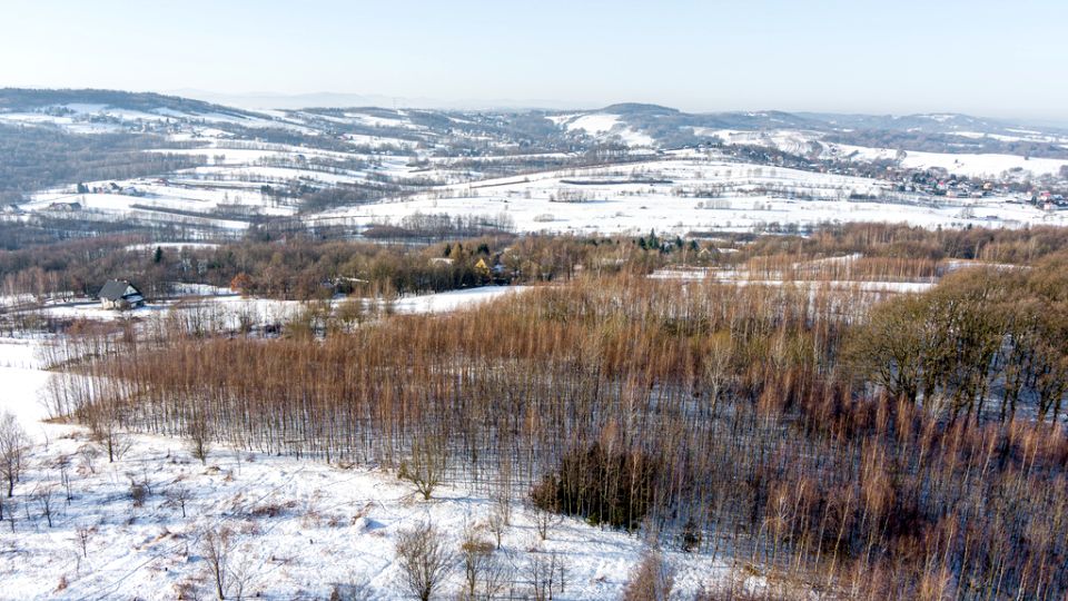 Działka leśna Grabno