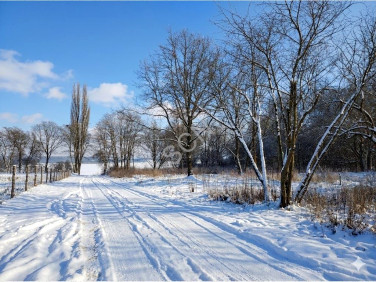 Działka budowlana Jadwisin