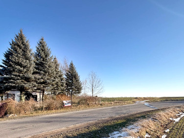 Dom Głubczyce sprzedaż