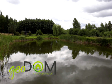 Działka inwestycyjna Pawłów