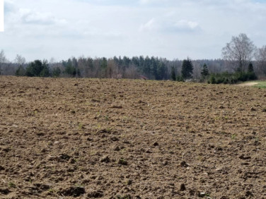 Działka usługowa Kobysewo