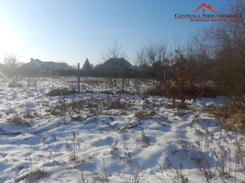 Zdjęcie 3