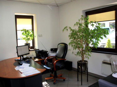 Lokal Bielsko-Biała