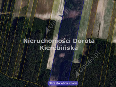 Działka rolna Poświętne