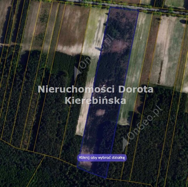 Działka rolna Poświętne