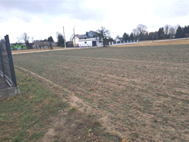 Działka budowlana Halinów