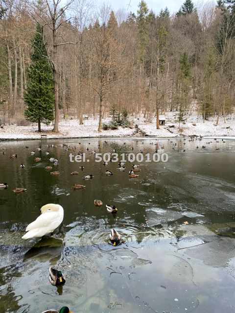 Działka budowlana sprzedam