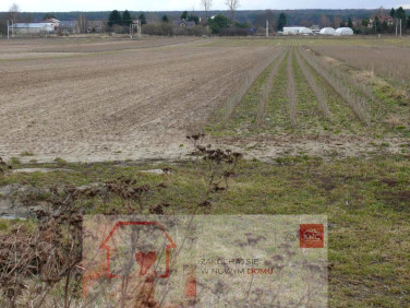 Działka budowlana sprzedam