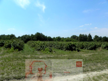Działka budowlana Głusk