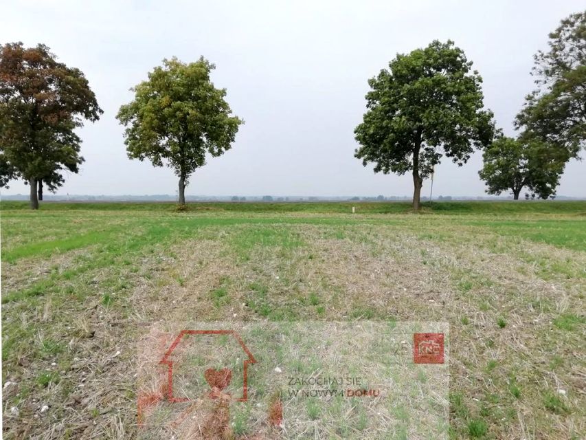 Działka Nowe Chojno