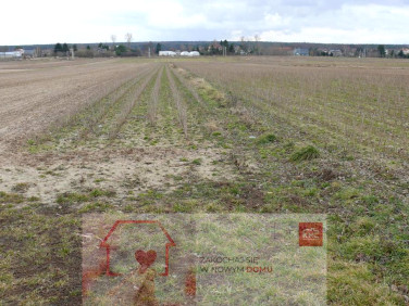 Działka budowlana sprzedam